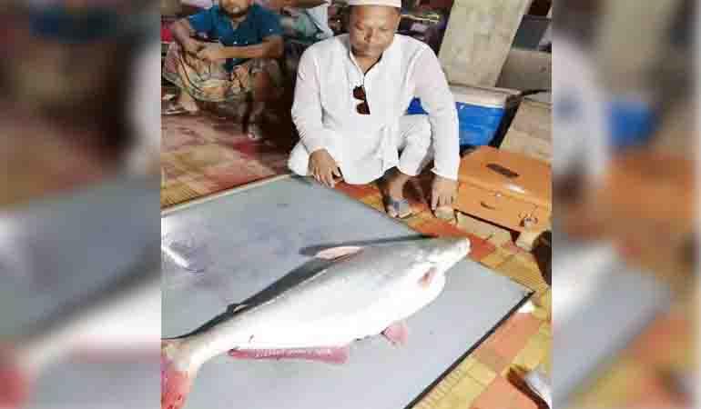 গ্রাহক সেবা পক্ষ উদযাপনে বেতাগীতে বৃক্ষরোপণ ও পুরস্কার বিতরণ অনুষ্ঠান