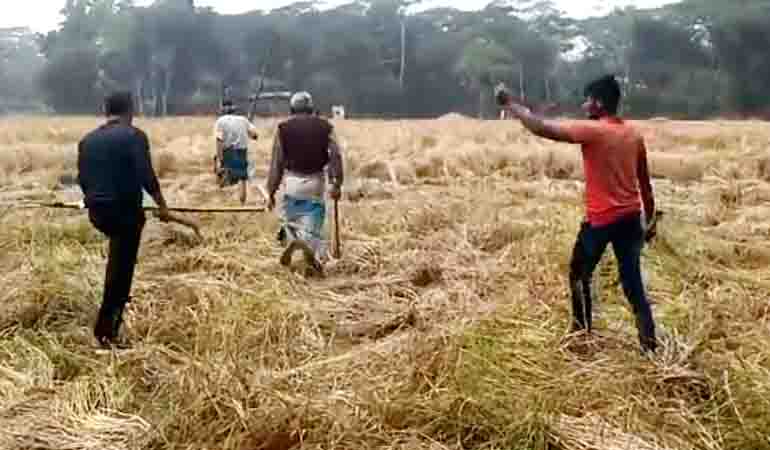 গ্রাহক সেবা পক্ষ উদযাপনে বেতাগীতে বৃক্ষরোপণ ও পুরস্কার বিতরণ অনুষ্ঠান